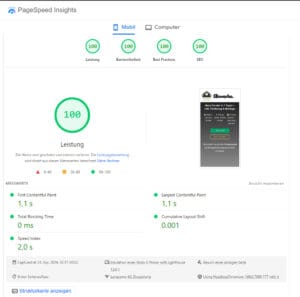 Lead Generator Landingpages mit 100 Punkte bei Google Page Speed